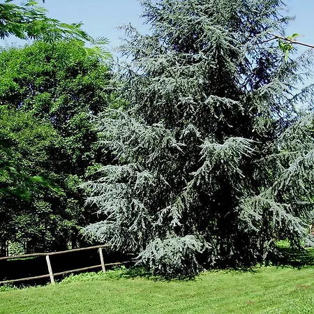 Country house Tenuta Montelaura Forino