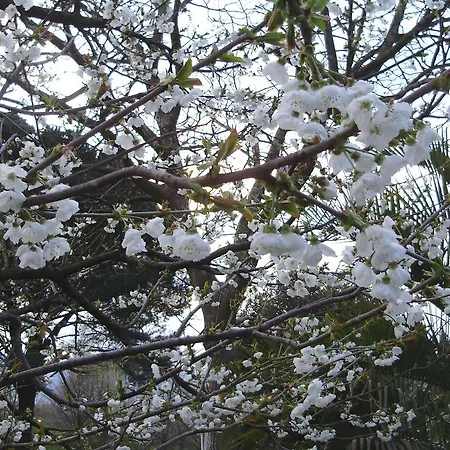 乡村民宿 泰努塔蒙蒂劳拉乡村民宿
