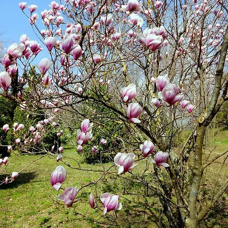 泰努塔蒙蒂劳拉乡村民宿 乡村民宿
