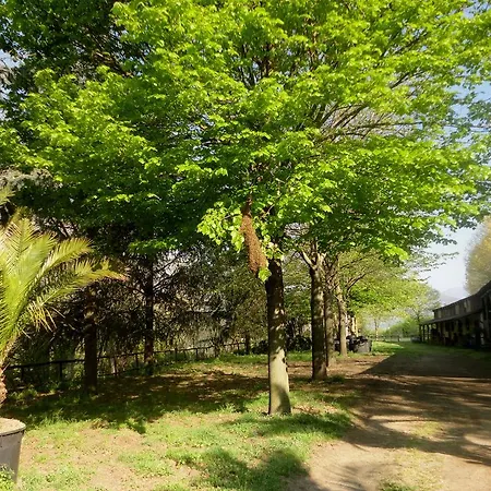 Country house Tenuta Montelaura